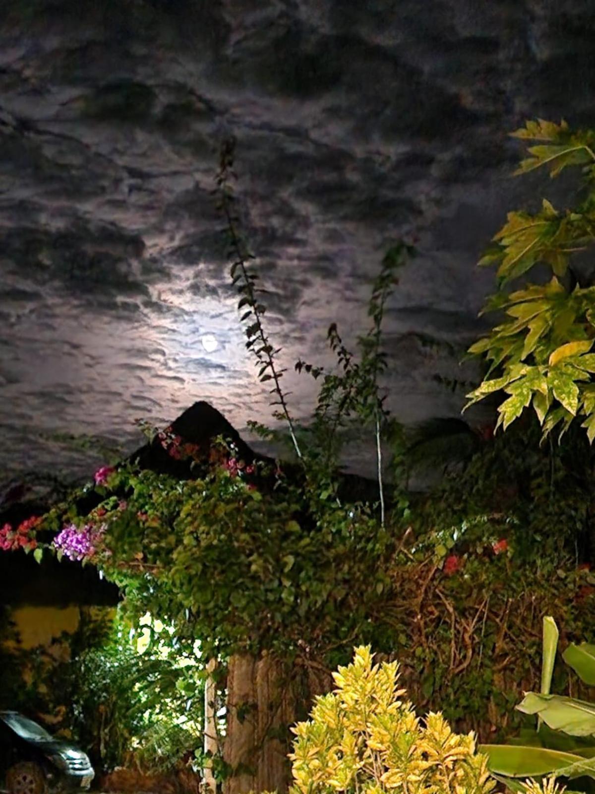 Kendwa Carletto Style Bed and Breakfast Εξωτερικό φωτογραφία